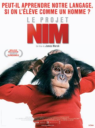 Le Projet Nim