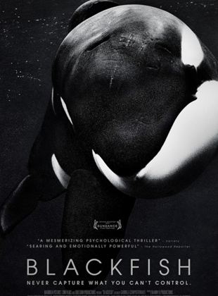 Blackfish